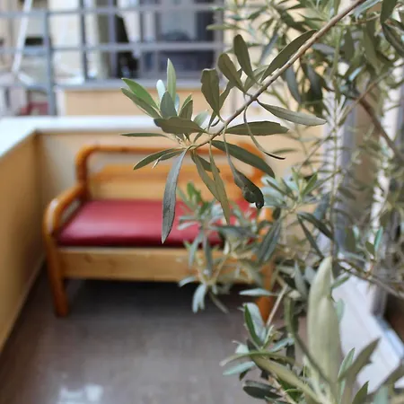 Cactus Cozy Apartment
