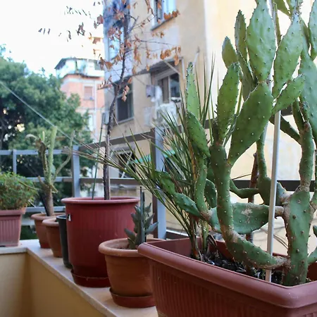 Apartment Cactus Cozy *